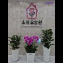 명성솔빛요양원 앞 | {인천, 요양원, 요양센터, 추천!} 소래요양원 인천 소래요양원, 따뜻한 안식처