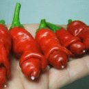 의성고등학교 이미지