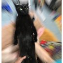 쉬샵