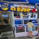 속초 중앙시장 먹거리 추천! 수족관부터 남다른 속초황금물회횟집 전복물회 포장 후기
