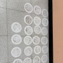 다사랑요양병원(기숙사) | 세종기숙사매트리스청소후기