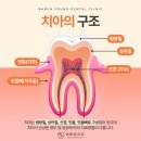 영치과 이미지