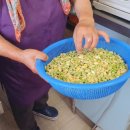 풀잎식당 이미지