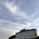 동백섬입구(웨스틴조선비치) | 웨스틴 조선 부산 🌊수영장 후기