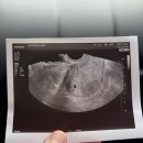 마곡새봄약국 이미지