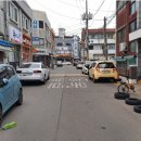 신트리로 이미지