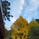 드림게스트하우스 이미지