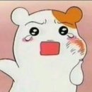 민플란트치과의원 네이버블로그