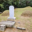 정유선생묘 이미지