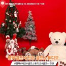 당진시 서정6길 3-8 | [평택 고덕] "평택셀프사진관 셀프스튜디오" 🎅크리스마스🎀 아이기념일사진 남기기