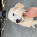 농공단지길 이미지