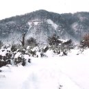 마니네 - 유성구 | 마니네