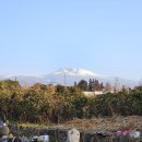 서호동-16 이미지