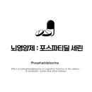 뇌영양제 : 포스파티딜세린(PhosphatidylSerine)