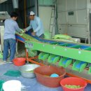 영흥농장 이미지