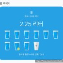 칼라앤페인트 | 스탠리 텀블러 구매 후기 | 퀜처 887 로즈쿼츠