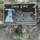 11월12일06시출발,대구팔공산 이미지