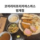 코끼리아프리카까스까스 | 범계역 돈까스 맛집 | 코끼리아프리카까스까스 범계점 솔직 후기 (feat.주차꿀팁)