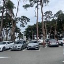 강릉짬뽕순두부동화가든 | 짬뽕순두부 원조 '강릉 짬뽕순두부 동화가든 본점' 다녀온 후기.