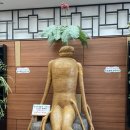 밤비노집 이미지