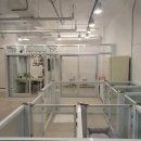 애견#(샾) 이미지