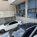 쁠리앤뷰티 | 망미동네일 쁠리앤뷰티 내돈내산 여름맞이 패디 후기