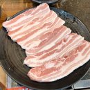 탐라도야지 이미지