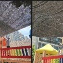 현대한솔유치원 네이버블로그