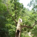 덕풍산장 이미지