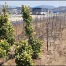 사철농장 이미지