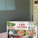 건강한고래