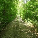 폭염 때는 ‘숲길’을 그냥 걷자…‘걷기 좋은 명품 숲길’ 20선 이미지
