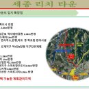 리치타운 이미지