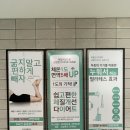 청주 누워서하는 체형관리, 다이어트 &lt;셀포랩 제니스&gt; 상세후기