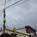 겨울 제주도 동쪽 뚜벅이 3박4일