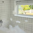 해피도그 이미지