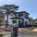 아라뜰데이지 이미지