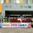 새울 이미지