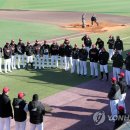 스프링그루밍 이미지