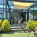 그린애견 이미지