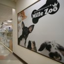 홈플러스(주) 강동점 이미지