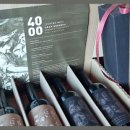 라치오 비엘 이미지