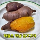 해들온 해남 꿀고구마 고구마 택배 추천 꿀고구마 레시피