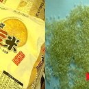 토토미