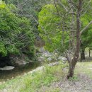 두밀리낚시터 이미지