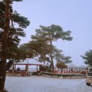 안인펜션 이미지