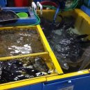 덕화상회 이미지