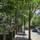 부천아트센터 대공연장 | 선율로 물든 지브리 콘서트 오케스트라![부천아트센터 콘서트홀 오케스트라 후기]