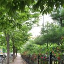 뚱s 연탄구이 이미지