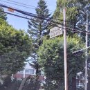 소양주유소 - 보령시 | 소양주유소